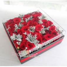 Splendeur Box: Passion